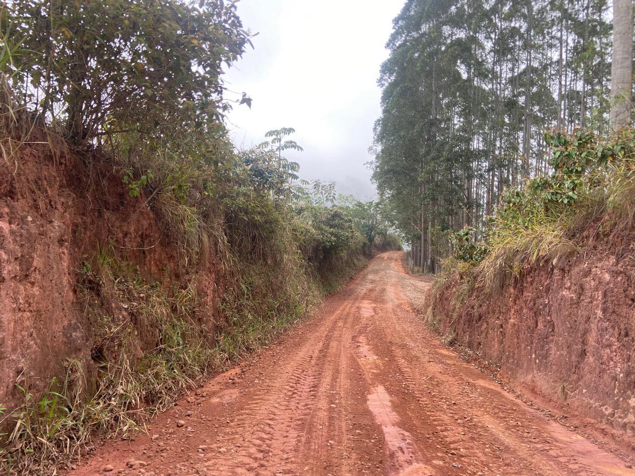 MUITO TRABALHO NA ESTRADA DOS PIMENTAS